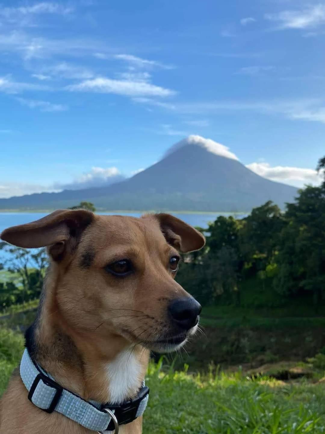 Sunset Inn La Fortuna 외부 사진